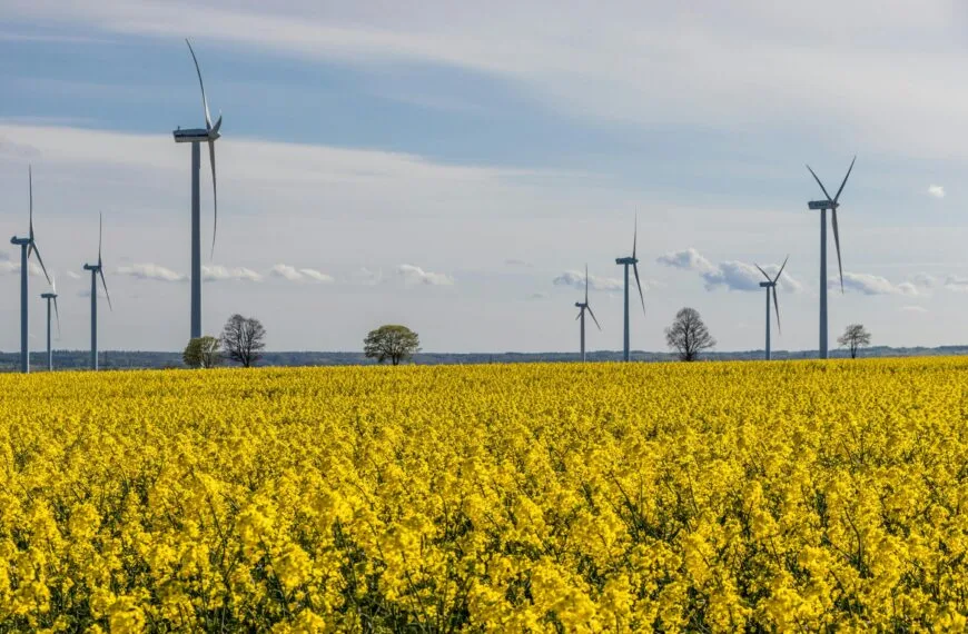 Cienie transformacji energetycznej – jak zielony ład niszczy Europę